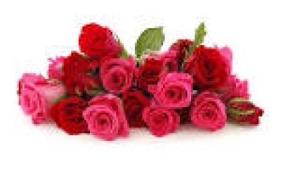 Images
